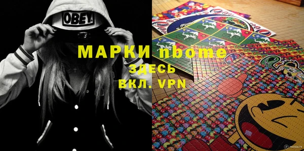 гидра Михайловка