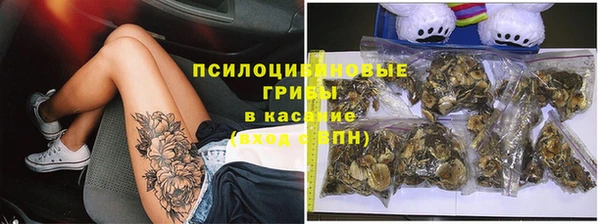 mdpv Надым